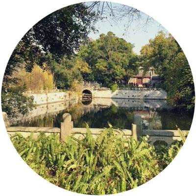 仙影赚钱版下载